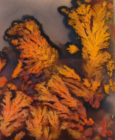 plume agate from Oregon
