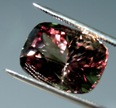 color changing turkish diaspore