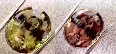 color changing turkish diaspore