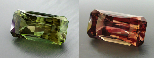 color changing turkish diaspore