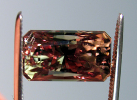 color changing turkish diaspore