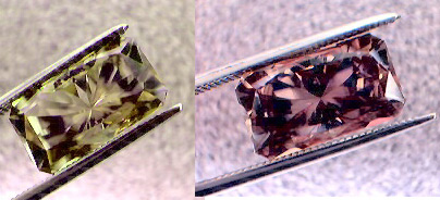 color changing turkish diaspore