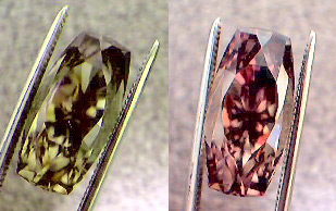 color changing turkish diaspore