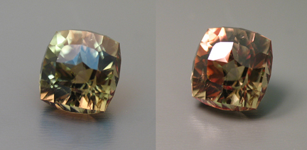 color changing turkish diaspore