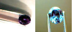 garnet_CC_36pt_oval.jpg