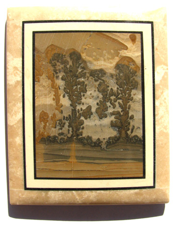 intarsia