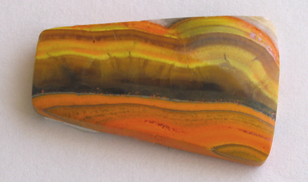 bumblebee jasper