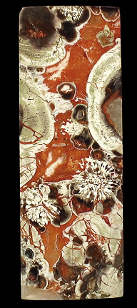 mushroom jasper