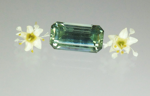 Montana Sapphire