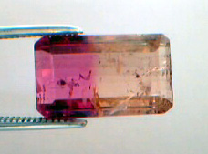 bicolor tourmaline
