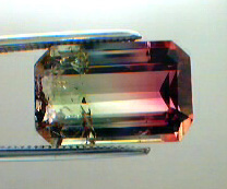 bicolor tourmaline