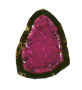 large watermelon tourmaline slice