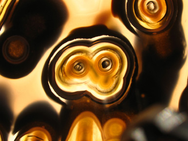 unique agate slice
