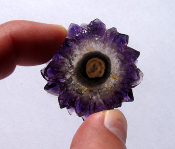 amethyst cactus