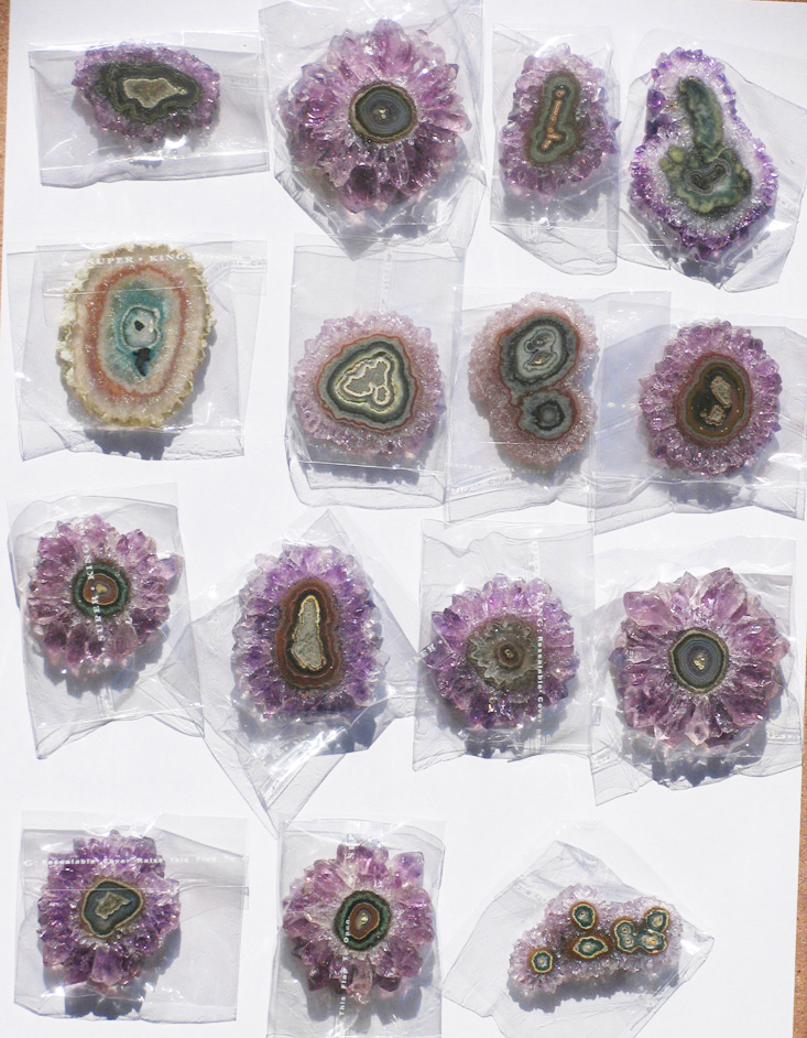 amethyst cactus
