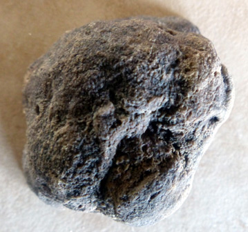 colorful coprolite