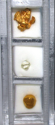 diamond and gold collector case