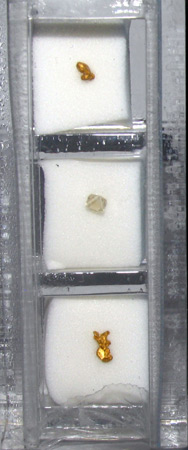 diamond and gold collector case