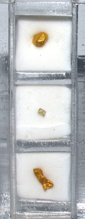 diamond and gold collector case