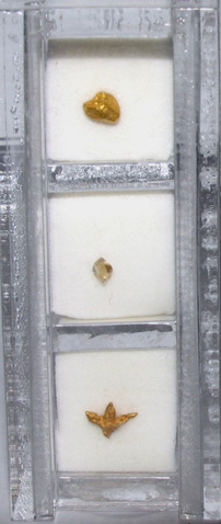 diamond and gold collector case