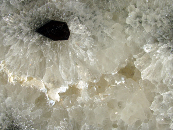 quartz geode slice with tourmaline crystals