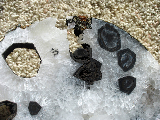 quartz geode slice with tourmaline crystals