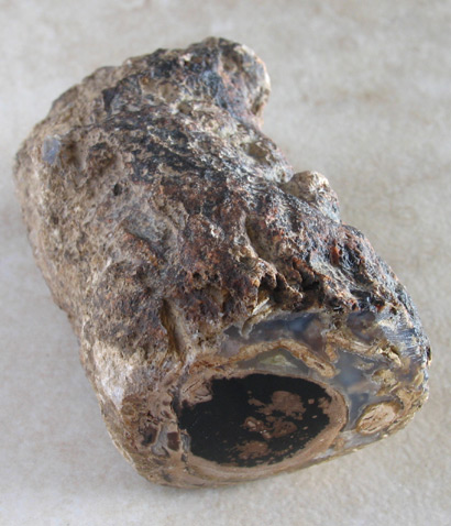 petrified wood eden valley
