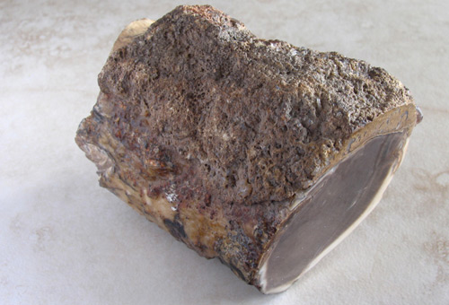 petrified wood eden valley
