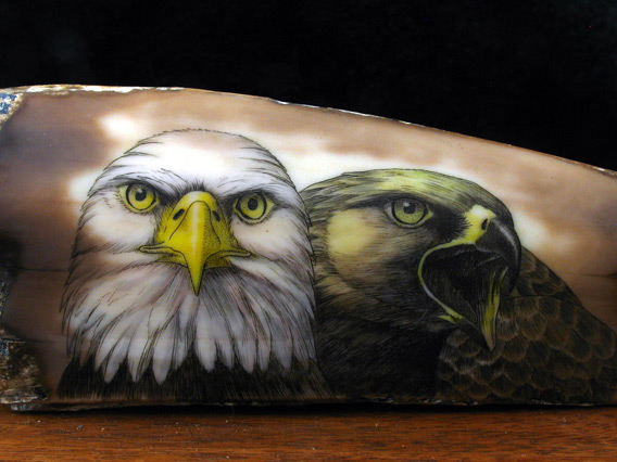 published fossilized walrus ivory scrimshaw