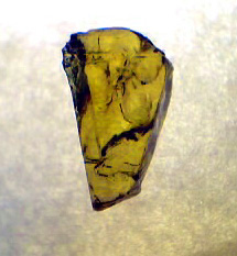 rough tanzanite