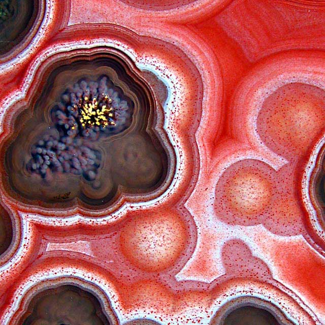 laguna agate