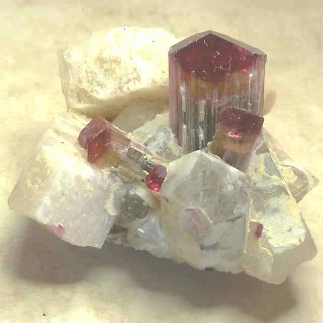 bicolor tourmaline specimen - burma
